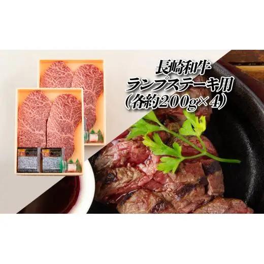 【ヒレ含む！全12回定期便】長崎和牛 おまかせステーキ便 総計8.68kg ゴールドコース 希少部位ステーキ多数 ヒレ フィレ ランプ イチボ ミスジ サーロイン A4等級以上に厳選【田中精肉店】