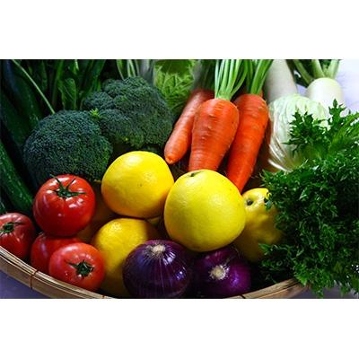 ふるさと納税 綾町 綾町旬野菜セット (10〜15種類) |  | 01
