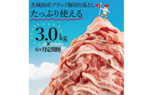 【数量限定】【6か月定期便】茨城県産豚ブランド切り落とし計18kg(３kg×6回)【肉 豚肉 切り落とし 小分け 真空 真空パック 茨城県産 肉料理 肩ロース ウデ モモ バラ 水戸市 水戸】（EC-103）