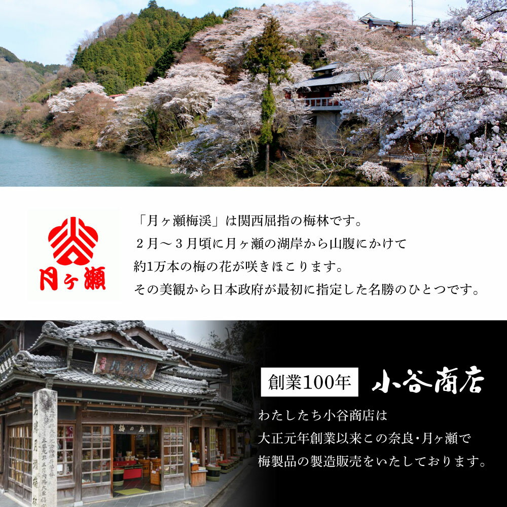 【ふるさと納税】月ヶ瀬梅渓名産 梅エキス 65g×2本 無添加 青梅果汁のみ使用 うめぼし うめ干し 梅 ume 紫蘇 漬け 赤紫蘇 赤しそ 農家直送 産地直送 数量限定 国産 奈良県 奈良市 なら H-91