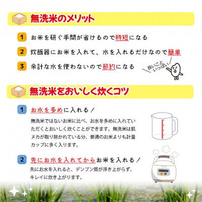 ふるさと納税 酒田市 【2ヵ月毎定期便】はえぬき無洗米『いいあん米』5kg全3回 |  | 03