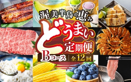【定期便】どうまい定期便 12回 肉コース