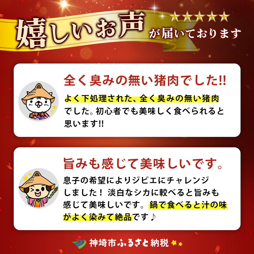 脊振ジビエ イノシシ肉バラエティセット 約1.4kg【脊振 ロース ばら 肩ロース ミンチ カレー 鍋 セット】(H059118)