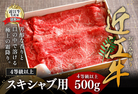 近江牛 すき焼き しゃぶしゃぶ 赤身 500g 【H002W】 牛肉すき焼き