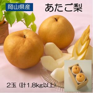 ◆先行受付◆　岡山県産　あたご梨　2025年発送【配送不可地域：離島】【1350320】