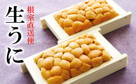 B-40025 エゾバフンウニ70g×2折[2026年2月中旬以降発送]