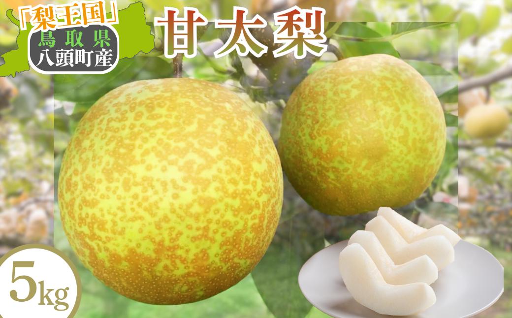 
            八頭町産　梨「甘太梨」5kg【梨 なし ナシ 果物 フルーツ ギフト 先行予約 甘い 果実 果汁 デザート もぎたて 旬 新甘泉好きな方におすすめ】
          