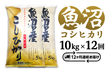 C2-7K10ZD【12ヶ月連続お届け】新潟県魚沼産コシヒカリ10kg（5kg×2袋）（長岡川口地域）