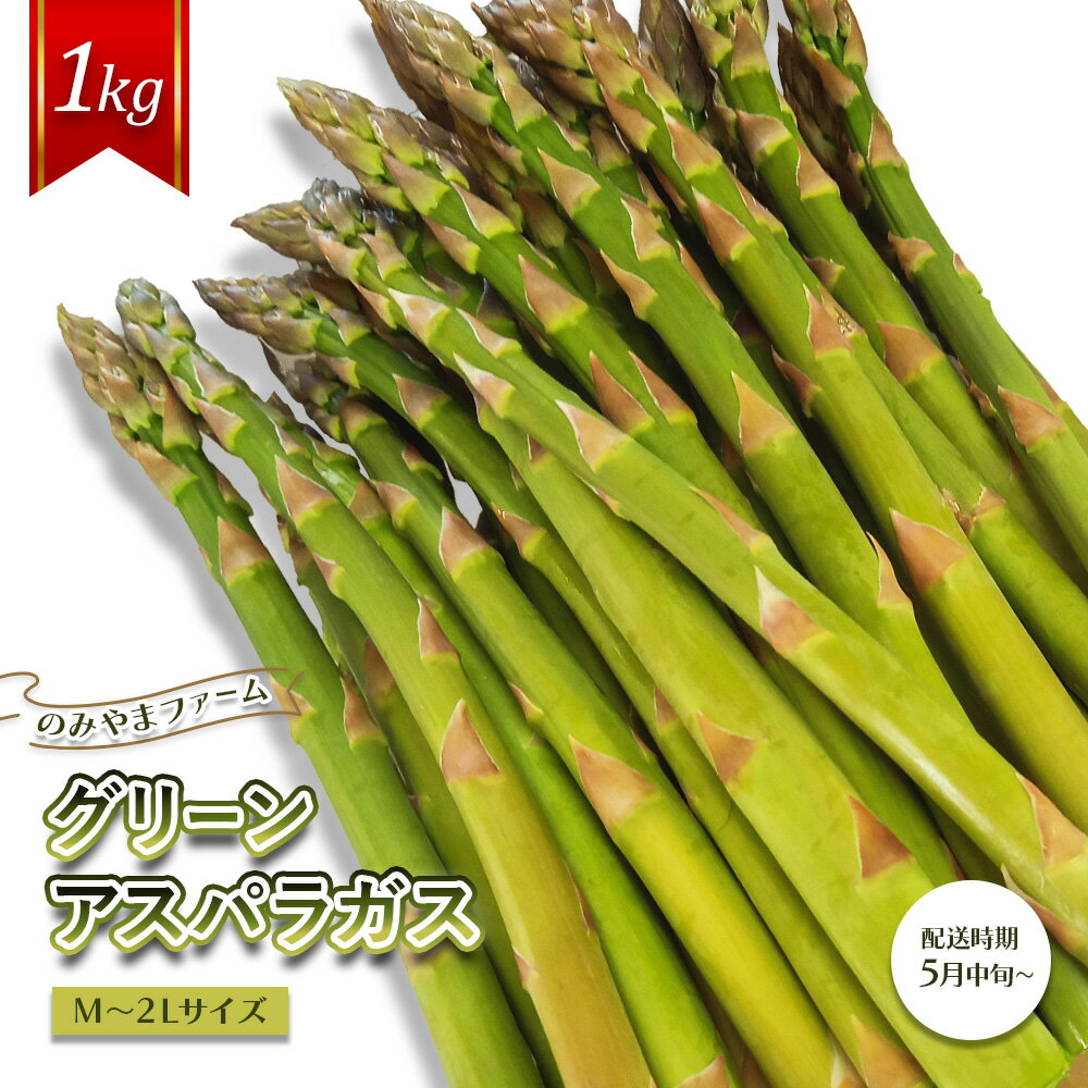 【ふるさと納税】【先行受付】のみやまファームのグリーンアスパラガス（M～2L以上）1kg＜受付2025年8月上旬まで＞【05004】