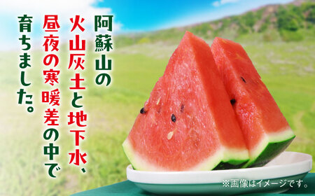 【数量限定】大玉すいか　1玉入り　約5kg【日本フルーツ株式会社】[AYDA003]