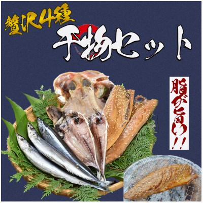 ふるさと納税 南伊豆町 湯の花　干物セット4種