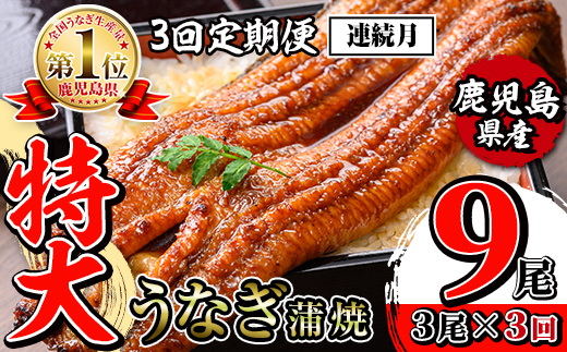 i1174-A ＜定期便・計3回(連続月)＞＼特大サイズ／鹿児島県産 うなぎ蒲焼 3尾セット＜（約220g×3・計約660g）×全3回＞ 定期便 たれ 山椒付きうなぎ 鰻 ウナギ 特大 特大サイズ 約