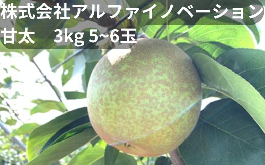 
            【2026年発送分 先行予約】アルファイノベーション株式会社　甘太　3kg 5~6玉【11246-0367】
          