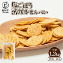 【ふるさと納税】 【7月1日より価格改定】 塩ごぼう薄焼きせんべい（100g×12袋）[P0018]