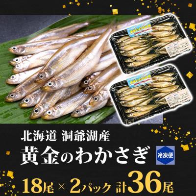 ふるさと納税 洞爺湖町 北海道 洞爺湖産 黄金のわかさぎ  18尾×2P 計36尾 |  | 03