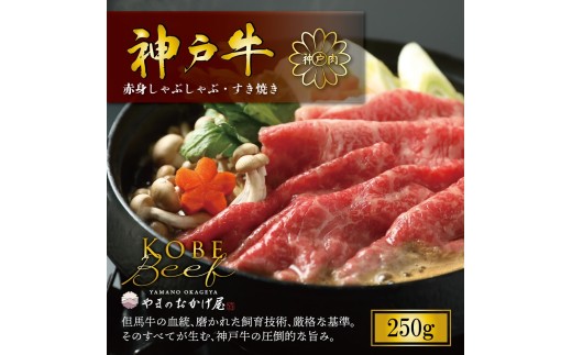 神戸牛 赤身 しゃぶしゃぶ すき焼き 250g AG044 神戸牛 神戸ビーフ 神戸beef 但馬牛 和牛 黒毛和牛 国産牛 牛肉 お肉 すき焼き しゃぶしゃぶ 赤身 モモ ウデ【AS36BB55】