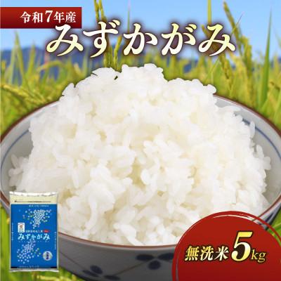 ふるさと納税 彦根市 令和7年産新米みずかがみ白米無洗米5kg 和食の旨味を引き立てるさっぱりとした味わい