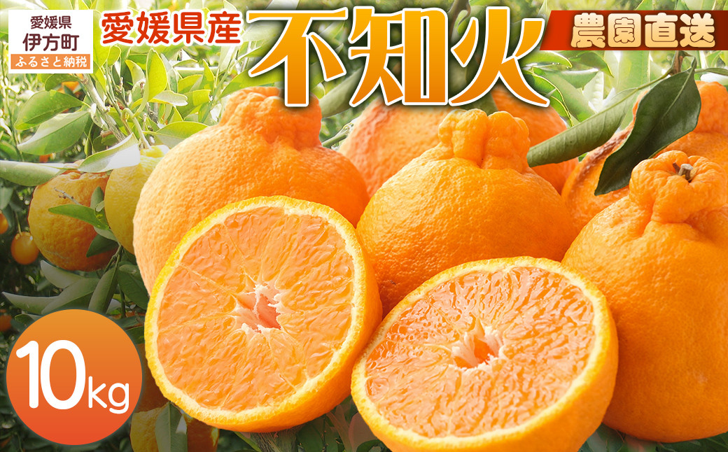 
            【栽培期間中農薬不使用】【先行受付】【数量限定】農園直送！愛媛県産不知火 10kg （2026年1月上旬頃より順次発送） 【ふるさと納税 人気 おすすめ ランキング 柑橘 みかん ミカン 蜜柑 不知火 しらぬい フルーツ 果物 産地直送 ギフト 贈り物 栽培期間中農薬不使用 木野本農園 愛媛県産 愛媛県 伊方町 送料無料】 IKTG008
          