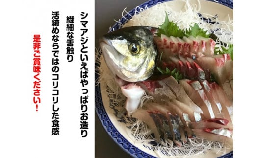 【配送日指定可】 アジ 新姫熊野しまあじ 1匹 下処理済み【冷蔵】あじ シマアジ 鯵 刺身 お刺身 さしみ 真空 海鮮 魚介 鮮魚 寿司 お寿司 しゃぶしゃぶ あじフライ アジフライ 水谷水産 三重県
