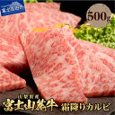 【ふるさと納税】 焼肉 BBQ 500g 牛肉 カルビ 霜降り アウトドア 山梨県産 富士山麓牛 霜降りカルビ 肉 キャンプ おかず