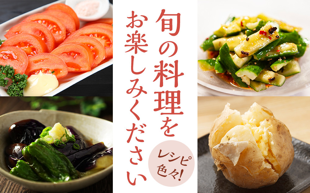 【2026年発送分先行予約】みうら農園 季節の野菜セット（夏野菜）【2026年6月中旬以降順次】