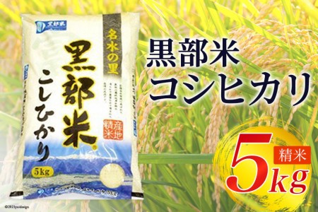 米 令和6年 黒部米 コシヒカリ 5kg 精米 白米 こしひかり お米 / 黒部市農業協同組合 / 富山県 黒部市