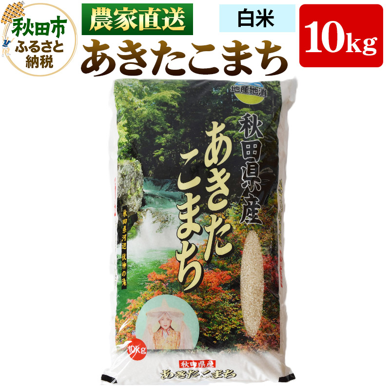 農家直送 あきたこまち 10kg 令和6年産 米 白米 田口商店