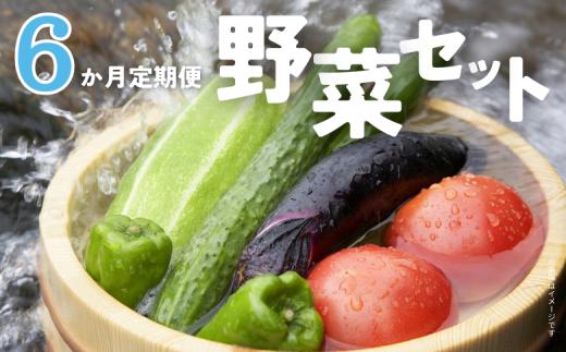 ＼ 6か月定期便 ／ 旬 の 有機野菜 詰め合わせ 野菜セット 野菜 野菜詰め合わせ 旬の野菜セット 旬の採れたて 酒々井 千葉 セット 季節の野菜 日用品 定期便