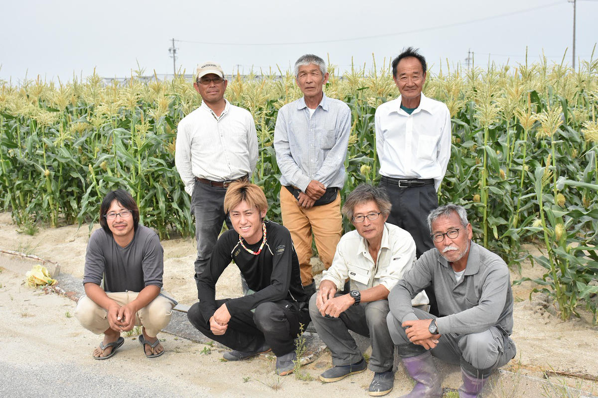 厳選朝採り とうもろこし(スイートコーン)「味来」 15本　H017-092