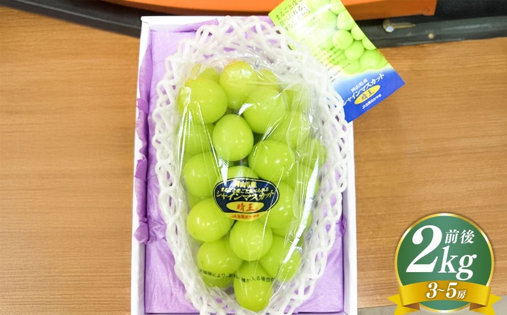 
            シャインマスカット【晴王】2kg 3房～5房入り【2026年8月上旬～9月下旬まで順次発送予定】 マスカット ぶどう 葡萄 ブドウ フルーツ 果物 くだもの 岡山県 倉敷市
          