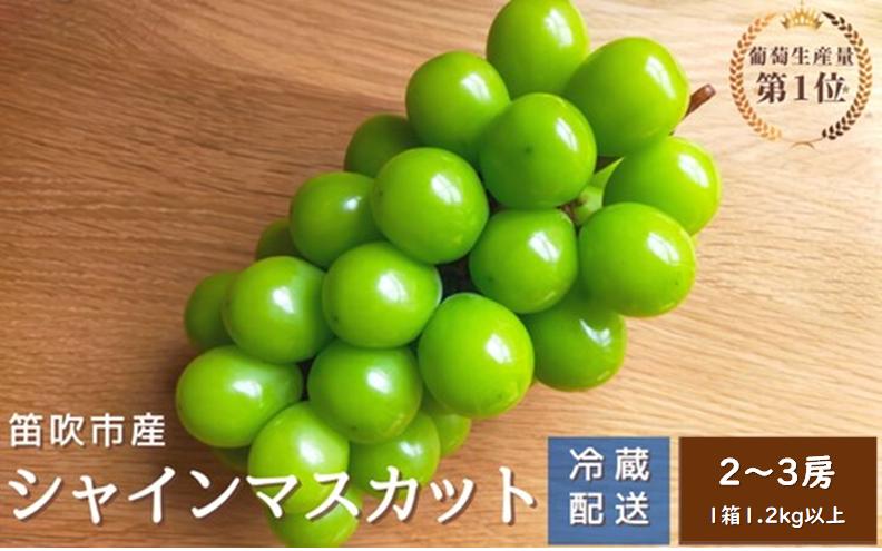 
            【2026年発送★先行予約】シャインマスカット　2～3房1.2kg以上　クール便対応 136-011-26y
          