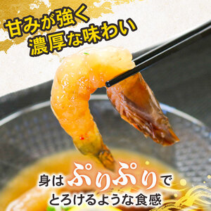 赤足海老 南知多カンジャンセウ 約150g×3袋 赤足海老の醤油漬け