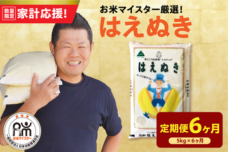 【 6ヶ月定期便 / 令和7年産】 はえぬき5kg 2025年産 山形県 精米 米 白米 お米 ブランド米 お米マイスター 厳選米 山形県 米沢市 送料無料