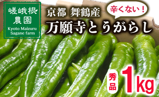 
                  【5月中旬～11月下旬発送】 万願寺 とうがらし 秀品 1kg 辛くない 美味しい おいしい 肉厚 甘い 旬 採れたて 箱入り 伝統野菜 バーベキュー BBQ 野菜 夏野菜 農家 産地 直送 揚げ物 炒め物 煮物 万願寺とうがらし 唐辛子 京都 舞鶴 | まんがんじ ご当地野菜 地場産品 地場野菜 野菜 発祥 京都 京野菜 期間限定 夏野菜 秋 夏 野菜 やさい 箱入り
                
