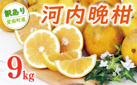 【数量限定】 訳あり 河内晩柑 9kg （ Lサイズ 以上 ） 河内晩柑