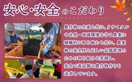 ＜宮崎県産ほしいも（紅はるか）600g（150g×4袋）＞翌月末迄に順次出荷 【c1493_yd】 干し芋 ほし芋 干しいも 芋 いも お芋 サツマイモ さつまいも さつま芋 紅はるか お菓子 菓子 