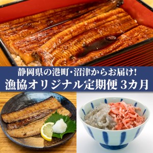 【 定期便 3ヶ月】 3種セット 太刀魚醤油干し しらす 桜えび うなぎ蒲焼 うなぎ