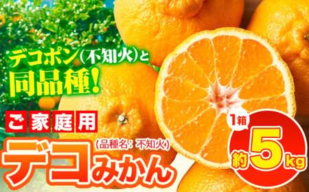 デコみかん 訳あり 5kg デコみかん