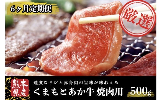 【6ヶ月定期便】GＩ認証 くまもとあか牛 焼肉 500g 定期便 6ヶ月 熊本県産 あか牛 焼肉用 500g 6回 くまもとあか牛 GI認証取得 和牛 国産牛 肉 牛 焼肉 赤身 バーベキュー ギフト 贈答用 阿蘇牧場 熊本 阿蘇 南小国町 送料無料