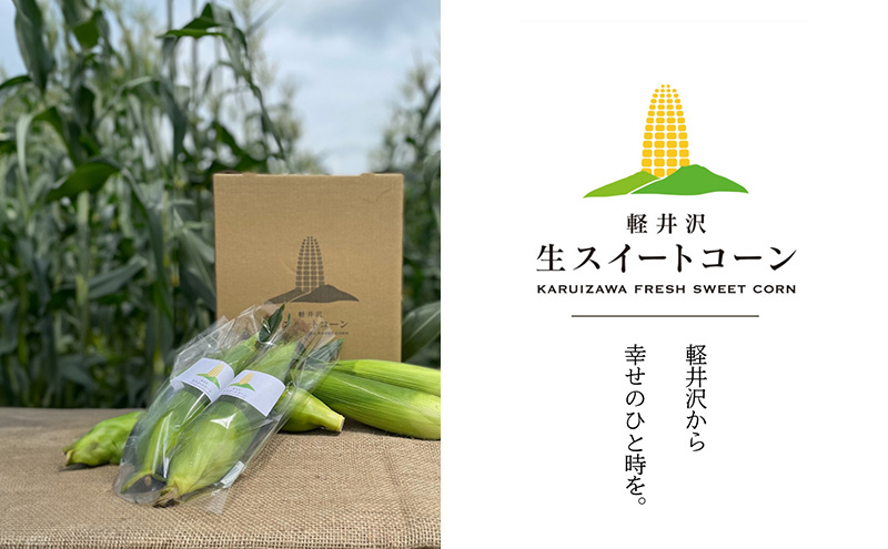 
            とうもろこし 軽井沢生スイートコーン トウモロコシ コーン 野菜 長野県 軽井沢町 [№5328-0342]
          