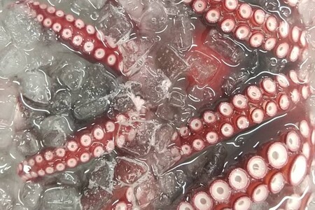 創業令和3年！何十年ぶりに浜田で鮮魚店誕生◎気合の入った刺身魚3種セット◎ 鮮魚詰め合わせ 鮮魚 お任せ セット 刺身 ブロック 冷凍 厳選 産地直送 お取り寄せ 真空 海鮮 魚介類 【171_163