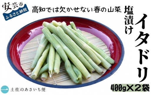 13-(04)．塩漬けイタドリ
