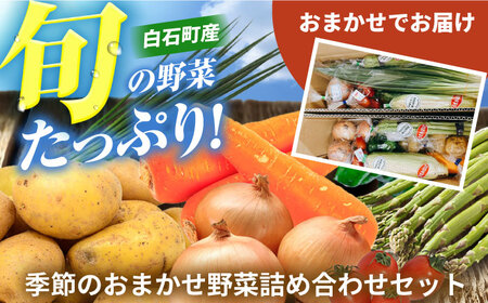 【野菜たっぷり♪】白石町産季節のおまかせ野菜詰め合わせセット / 野菜セット 野菜 野菜 野菜 野菜 [IDD002]
