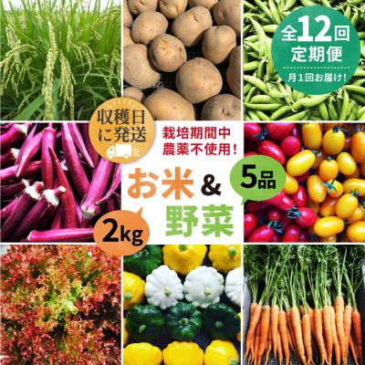 ふるさと納税 糸島市 【全12回定期便】☆畑直送☆限定!栽培期間中農薬不使用!お米2kg&amp;野菜5品セット[AGE038]
