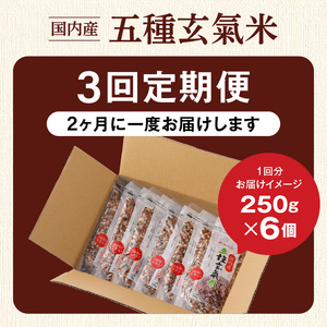 【隔月3回　定期便】国内産 五種玄氣米 250g×6個 1500g×3回_国内産 五種玄氣米 250g×6個 お届け回数 3回 玄米 ブレンド 雑穀米 もち赤米 うるち玄米 もち玄米 もち黒米 もち緑
