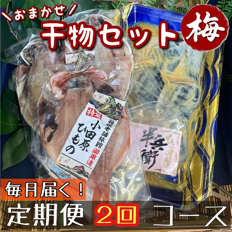 【毎月定期便2回】厳選！小田原の旬の干物セット 梅【 まぐろや 神奈川県小田原市 】 142069_DQ272
