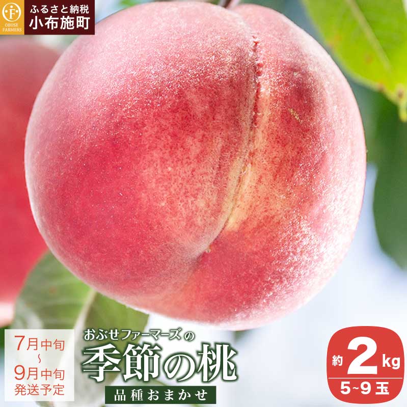 季節の桃 約2kg 5～9玉 ［ おぶせファーマーズ ］ モモ ピーチ フルーツ 果物 あかつき 川中島白鳳 なつっこ 川中島白桃 黄金桃 だて白桃 先行予約 長野県産 クール便 冷蔵便 1万円以下 産地直送 令和8年産【2026年7月中旬～9月中旬発送】