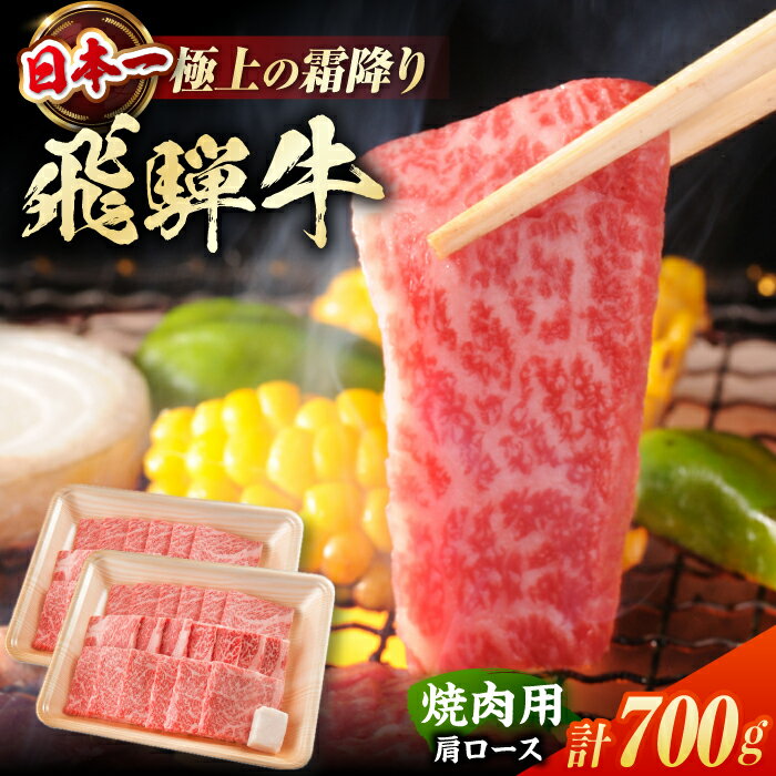 【ふるさと納税】【2025年12月21日までのご入金で、年内発送】飛騨牛 焼肉用 肩ロース 700g（350g×2）/ 焼肉 牛肉 和牛 / 白川町 / 浅井商店[AWBJ002] 飛騨牛 岐阜県 銘柄牛 霜降り 焼肉 BBQ アウトドア モモ肉 かた肉 スライス 小分け ギフト 焼き肉 焼肉 もも肉 ひだ牛 肉