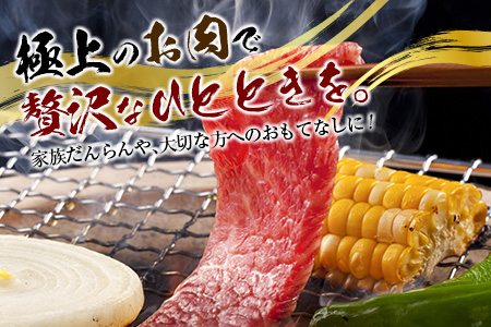 宮崎和牛『齋藤牛』赤身焼肉 計500g【C361】