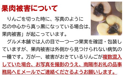 〈家庭用〉 ふじりんご 約10kg 《令和5年12月～発送》 『Yamaga